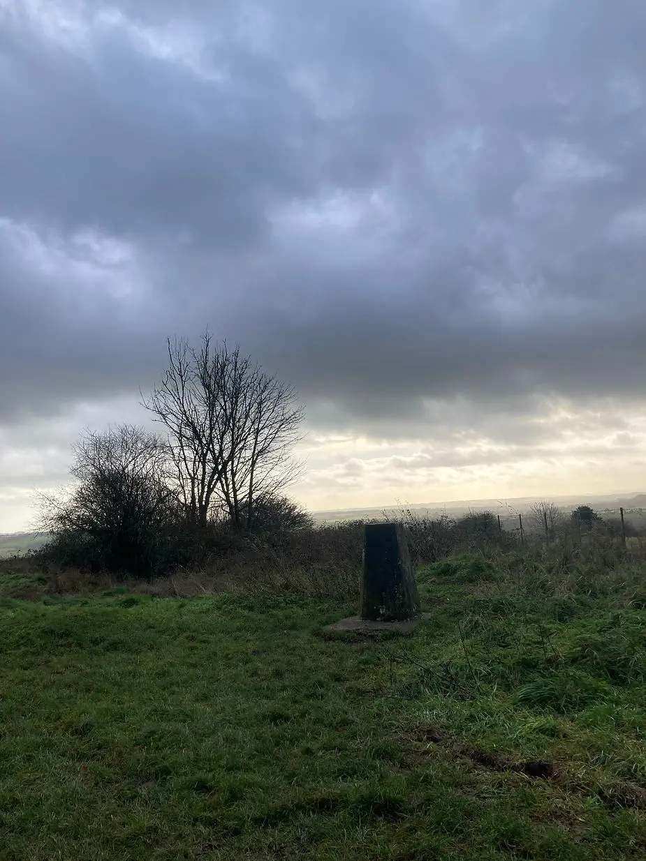 Beacon Hill trig