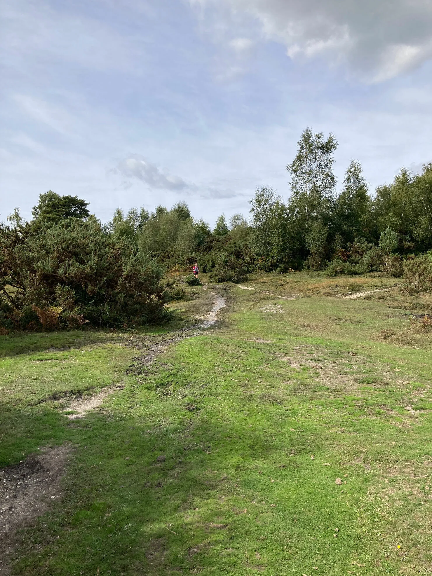 BigSky New Forest Ultra