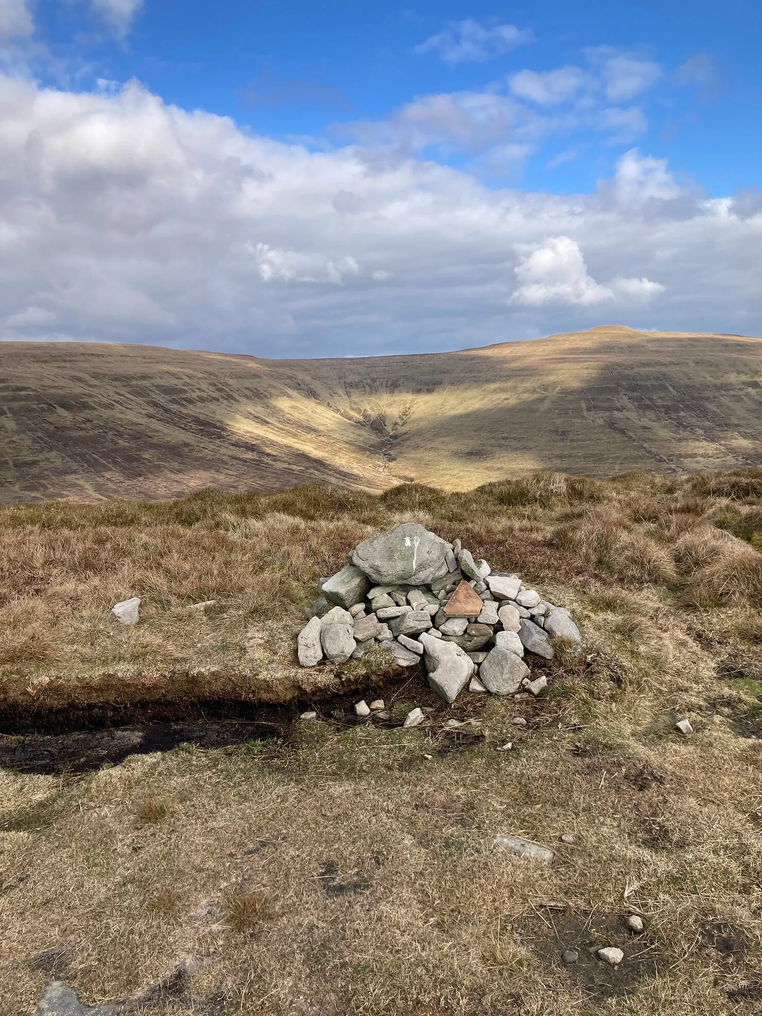 Mynydd Llysiau