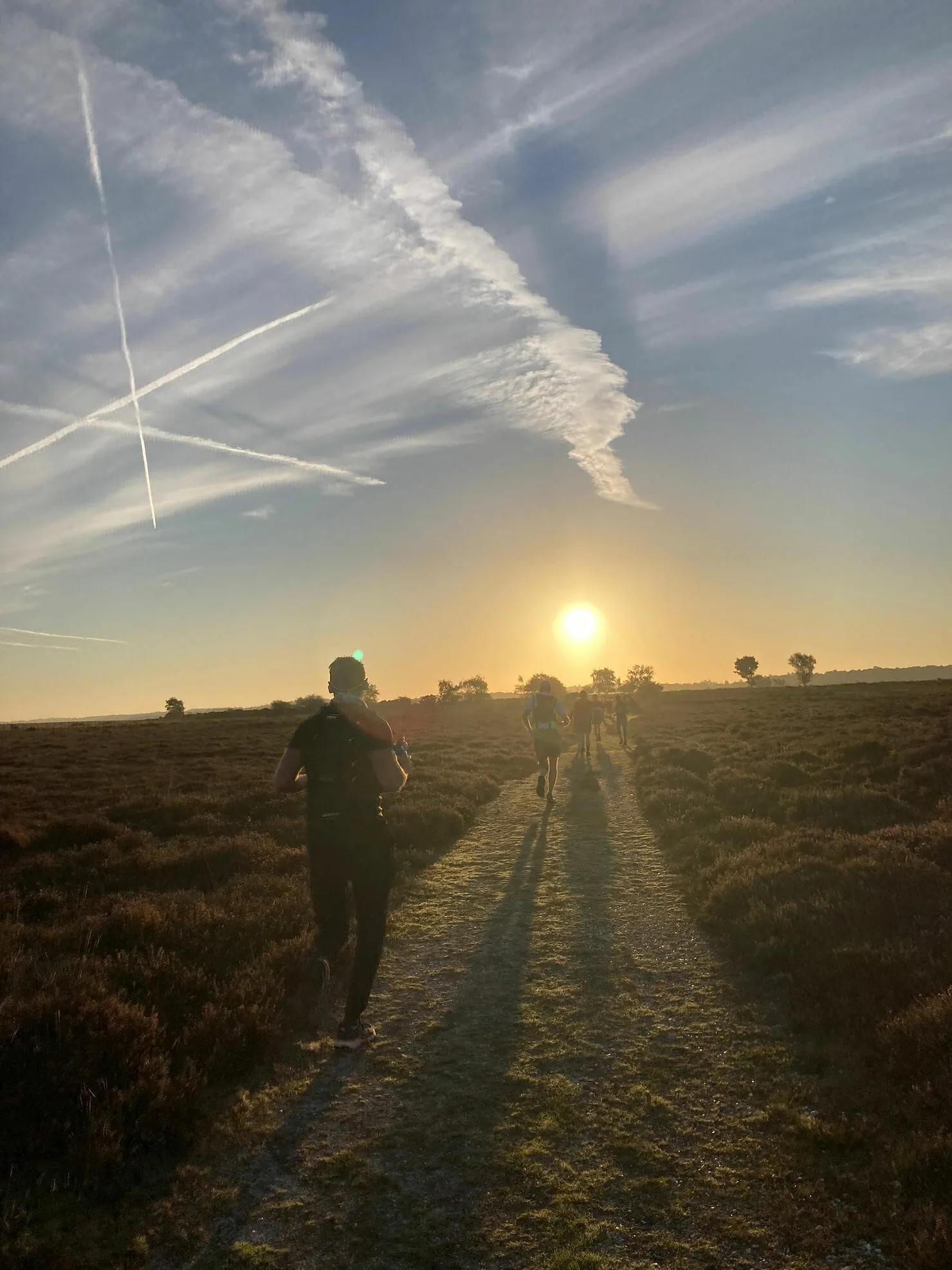 BigSky New Forest Ultra
