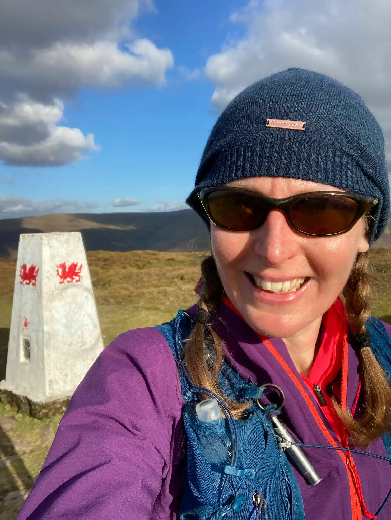 Mynydd Troed
